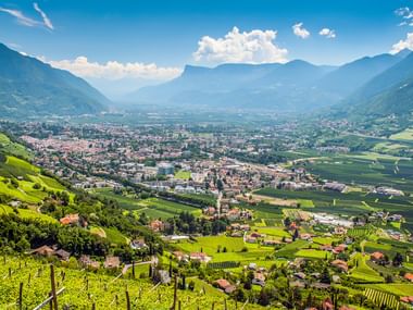 Panoramablick auf das Meraner Tal mit terrassierten Weinbergen im Vordergrund, Stadtzentrum und Alpenbergen unter blauem Himmel mit weißen Wolken.