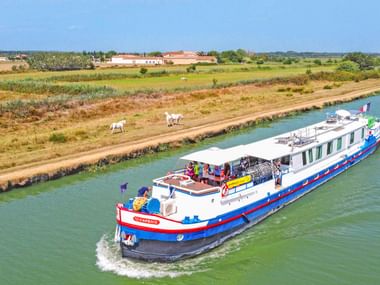 MS Caprice Flusskreuzfahrtschiff mit blau-rotem Rumpf auf einem Kanal in der Provence. Weiße Pferde grasen am Ufer mit Ackerland dahinter.