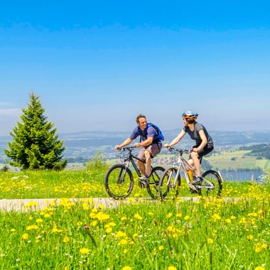 Zwei Mountainbiker auf ihren Rädern in einer gelb blühenden Wiese im Allgäu, mit einem See und sanften Hügeln im Hintergrund.