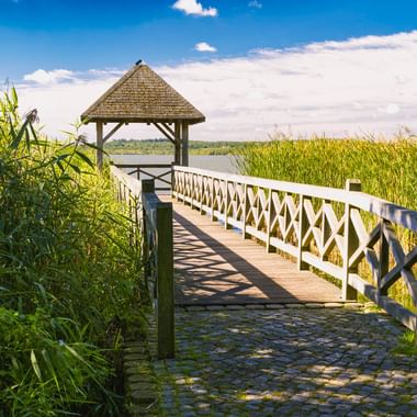 Holzsteg mit weißem Geländer führt zu einem überdachten Pavillon am Zierker See in Neustrelitz, umgeben von hohem Schilf unter blauem Himmel.
