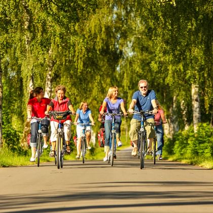 Gruppe von Radfahrern auf einem asphaltierten Weg durch eine Birkenallee. Grünes Gras und Laub säumen beide Seiten der sonnigen Radroute.