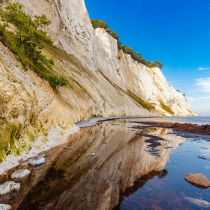 Dramatische weiße Kreidefelsen von Møns Klint auf der Insel Møn spiegeln sich im flachen Wasser. Grüne Vegetation bedeckt die Klippe unter blauem Himmel.