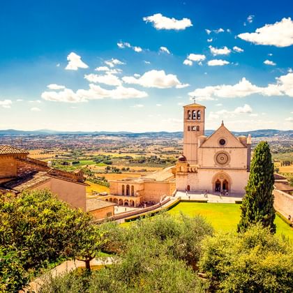 Basilika des Heiligen Franziskus in Assisi mit Glockenturm und grüner Rasenfläche, umgeben von Zypressen. Hügelige umbrische Landschaft.