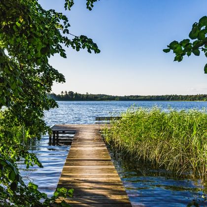 Holzsteg mit Bank führt in einen blauen See der Mecklenburgischen Seenplatte, eingerahmt von grünen Bäumen und Schilf unter klarem Himmel.