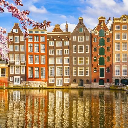 Reihe bunter traditioneller Grachtenhäuser entlang eines Amsterdamer Kanals mit Kirschblüten und Booten. Die Gebäude spiegeln sich im Wasser.
