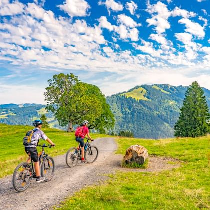 Zwei Radfahrer auf einem Schotterweg durch grüne Wiesen bei Oberstaufen. Berge und Bäume unter blauem Himmel mit weißen Wolken.