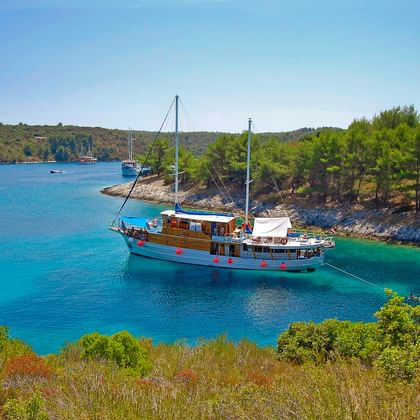 Holzmotoryacht MS Mirabela vor Anker in türkisfarbener Bucht, umgeben von grünem Pinienwald an der kroatischen Küste unter blauem Himmel.