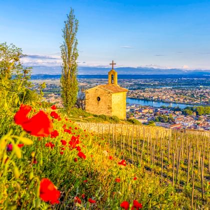 Chapelle Saint-Christophe mit Kreuz auf Hügel über Tain-l'Hermitage. Rote Mohnblumen blühen zwischen Weinbergen mit Flusstal darunter.