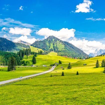 Straße durch grüne Wiesen mit verstreuten Bäumen und Bauernhäusern in Imst, Tirol. Berge und Wälder unter blauem Himmel mit weißen Wolken.