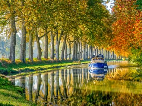 Weißes Boot auf dem Canal du Midi, gesäumt von Platanen in Herbstfarben. Die Bäume und das Boot spiegeln sich im ruhigen Wasser.
