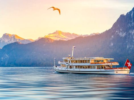 Weißes Passagierschiff mit Schweizer Flagge auf dem Genfer See bei Sonnenaufgang, mit Bergen im Hintergrund und einem Vogel am Himmel.