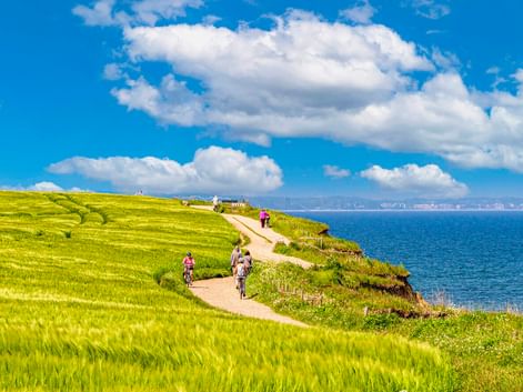 Radfahrer auf einem Weg entlang grüner Küstenklippen bei Travemünde mit blauer Ostsee und weißen Wolken am Himmel.
