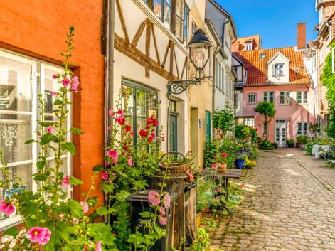Kopfsteinpflastergasse in Lübecks Altstadt mit Fachwerkhäusern, bunten Fassaden und blühenden Stockrosen. Historische Gebäude säumen die enge Straße.