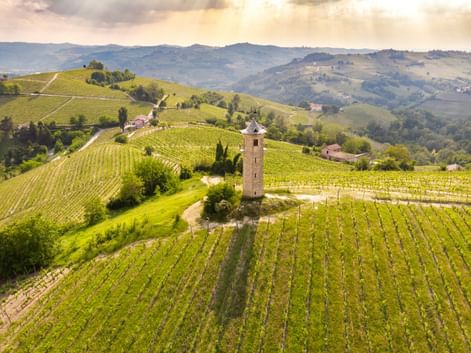 Steinturm umgeben von grünen Weinbergreihen in Canelli. Hügelige Landschaft mit Weinbergen und vereinzelten Gebäuden unter bewölktem Himmel.