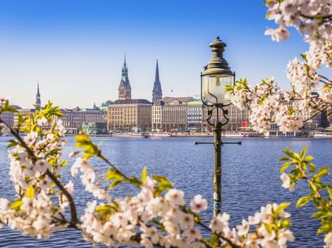 Blick auf Hamburgs Jungfernstieg mit historischen Gebäuden und Kirchtürmen über der Alster, eingerahmt von weißen Kirschblüten und einer Straßenlaterne.