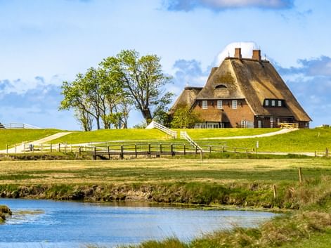 Traditionelles Reetdachhaus auf einer grünen Warft auf Hallig Hooge mit weißem Zaun, Bäumen und einem Wassergraben im Vordergrund.