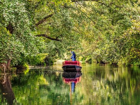 Person steuert einen roten Kahn auf einem ruhigen Kanal in Schlepzig, umgeben von üppigen grünen Bäumen, die einen natürlichen Tunnel bilden.