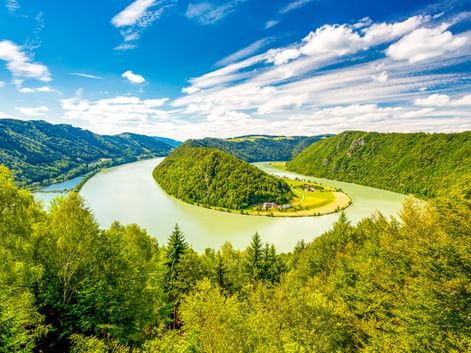 Luftaufnahme der Donauschlinge Schlögen, wo die Donau eine dramatische Hufeisenschleife um eine bewaldete Halbinsel in Österreich bildet.