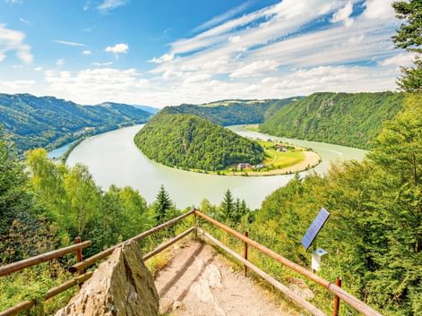 Holztreppe führt vom Aussichtspunkt zur Donauschlinge hinab, wo der Fluss eine bewaldete Halbinsel unter blauem Himmel umfließt.