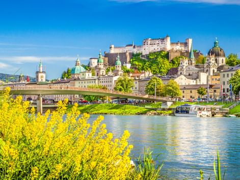 Salzburger Altstadt mit Festung Hohensalzburg auf dem Hügel, historischen Gebäuden, Kirchenkuppeln, Salzach und gelben Blütensträuchern im Vordergrund.