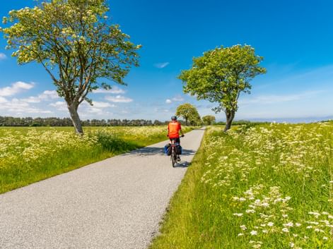 Radfahrer in oranger Jacke auf asphaltiertem Weg durch dänische Landschaft mit grünen Feldern, Wildblumen und Bäumen unter blauem Himmel.