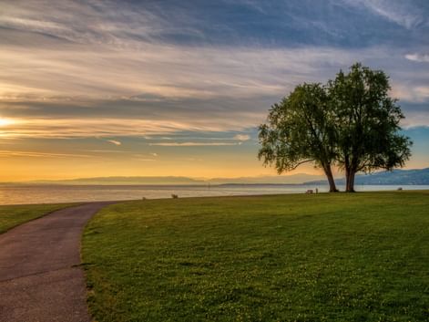 Gepflasterter Weg durch grüne Wiese zum Bodensee bei Sonnenuntergang. Zwei Bäume stehen am Ufer mit goldenem Himmel und fernen Bergen.