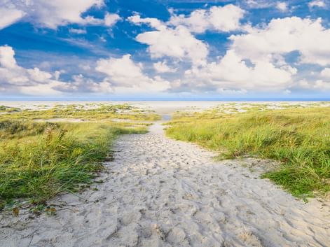 Sandweg führt durch grünes Dünengras zum Strand auf Langeoog. Blauer Himmel mit weißen Wolken über der Küstenlandschaft.