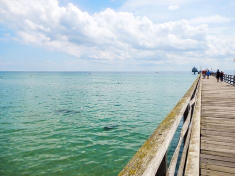 Hölzerne Seebrücke mit Geländer erstreckt sich in die türkisfarbene Ostsee. Menschen gehen auf der Brücke unter bewölktem Himmel.