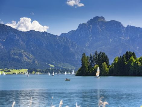 Forggensee im Allgäu mit türkisfarbenem Wasser, Segelbooten und dramatischen Alpengipfeln unter blauem Himmel mit weißen Wolken.