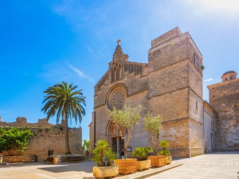 Gotische Kirche Sant Jaume mit Rosette in Alcudia, Mallorca. Steinfassade mit Palme und Pflanzgefäßen auf sonnigem Platz, umgeben von alten Mauern.
