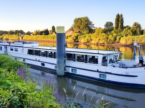 Weißes Passagierschiff MS Fluvius an einem Kanal in den Niederlanden, umgeben von grüner Vegetation und Herbstbäumen entlang der Wasserstraße.