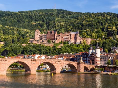 Historische rote Sandsteinbrücke über den Neckar mit Heidelberger Schlossruine auf bewaldetem Hang über bunten Stadtgebäuden.