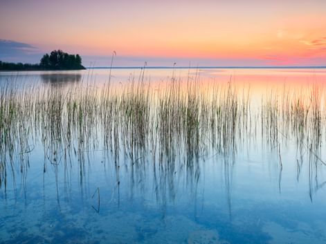 Ruhiger See bei Sonnenuntergang mit Schilf im Vordergrund. Pastellfarbener Himmel spiegelt sich im stillen Wasser. Kleine bewaldete Insel in der Ferne.