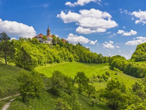 Leuchtenburg mit Turm auf einem grünen Hügel, umgeben von dichten Wäldern unter blauem Himmel mit weißen Wolken.