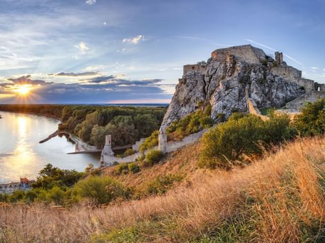 Ruinen der Burg Devín auf Felsenklippe über der Donau bei Sonnenuntergang in der Slowakei. Goldene Gräser im Vordergrund, Fluss reflektiert Sonnenlicht.