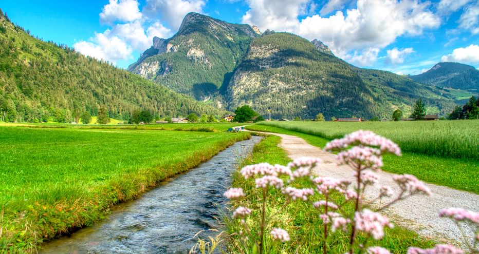 Bach fließt durch grüne Wiesen mit rosa Wildblumen im Vordergrund. Bewaldete Berge erheben sich unter blauem Himmel mit weißen Wolken in Österreich.