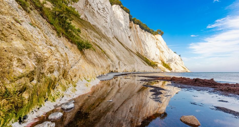 Dramatische weiße Kreidefelsen von Møns Klint auf der Insel Møn spiegeln sich im flachen Wasser. Grüne Vegetation bedeckt die Klippe unter blauem Himmel.