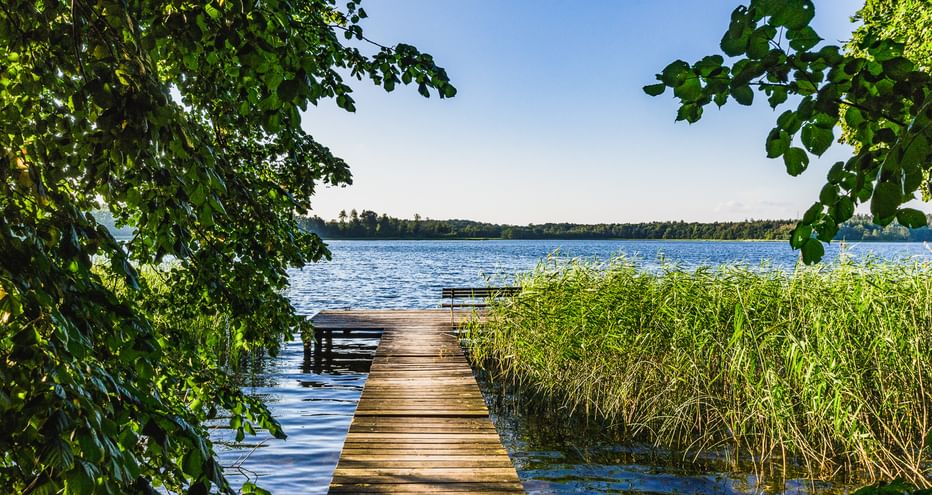 Holzsteg mit Bank führt in einen blauen See der Mecklenburgischen Seenplatte, eingerahmt von grünen Bäumen und Schilf unter klarem Himmel.