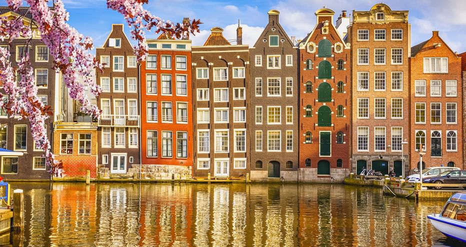 Reihe bunter traditioneller Grachtenhäuser entlang eines Amsterdamer Kanals mit Kirschblüten und Booten. Die Gebäude spiegeln sich im Wasser.