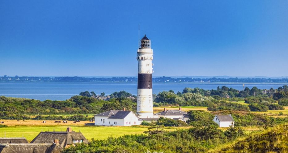 Weißer Leuchtturm mit schwarzem Band in Kampen, Sylt, umgeben von grünen Wiesen und reetgedeckten Häusern mit dem Meer im Hintergrund.